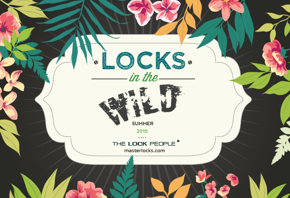 Locks in the Wild